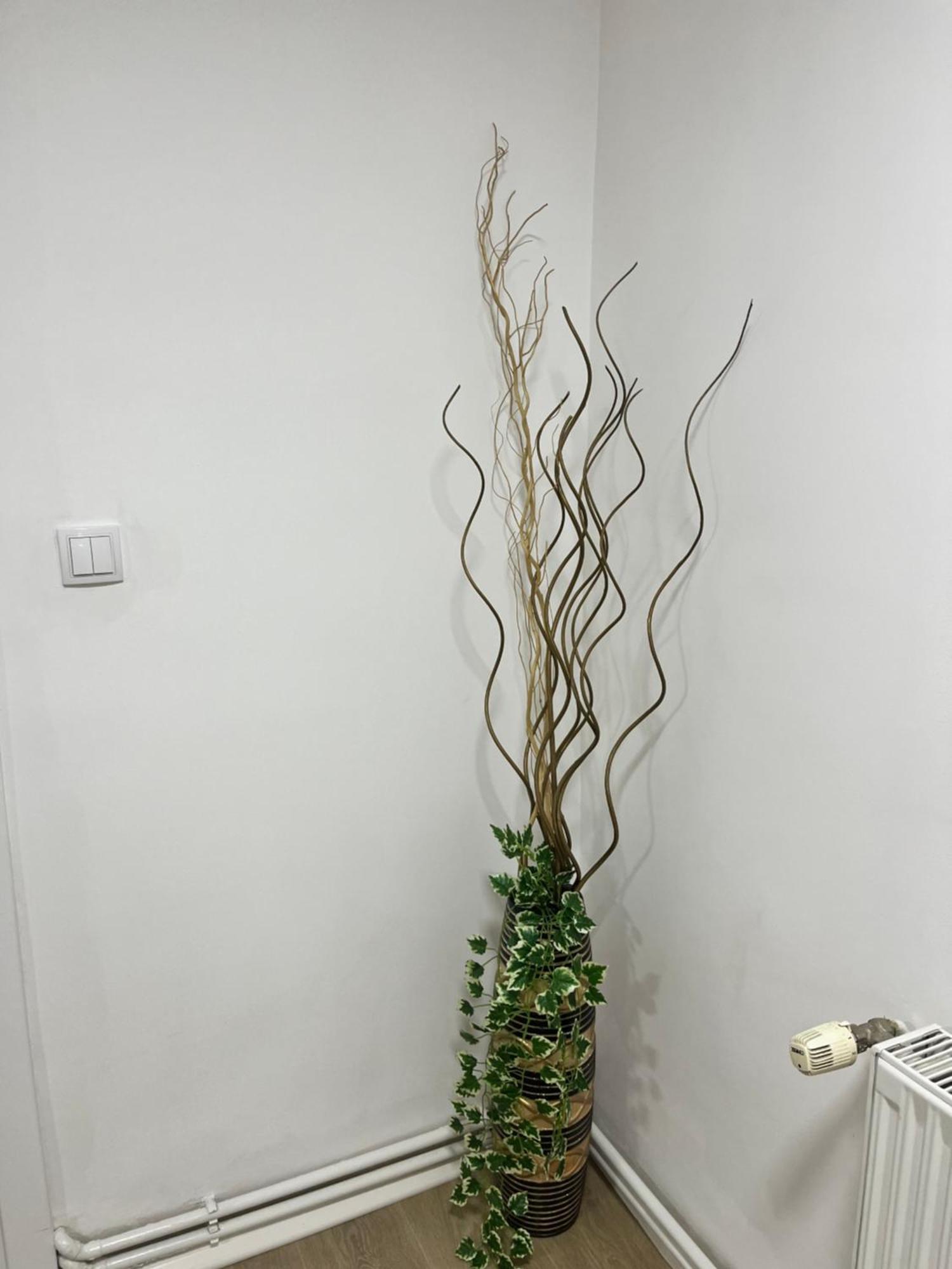 Apartment Irma SJJ Extérieur photo